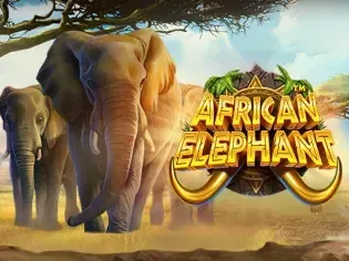 African Elephant game thumbnail